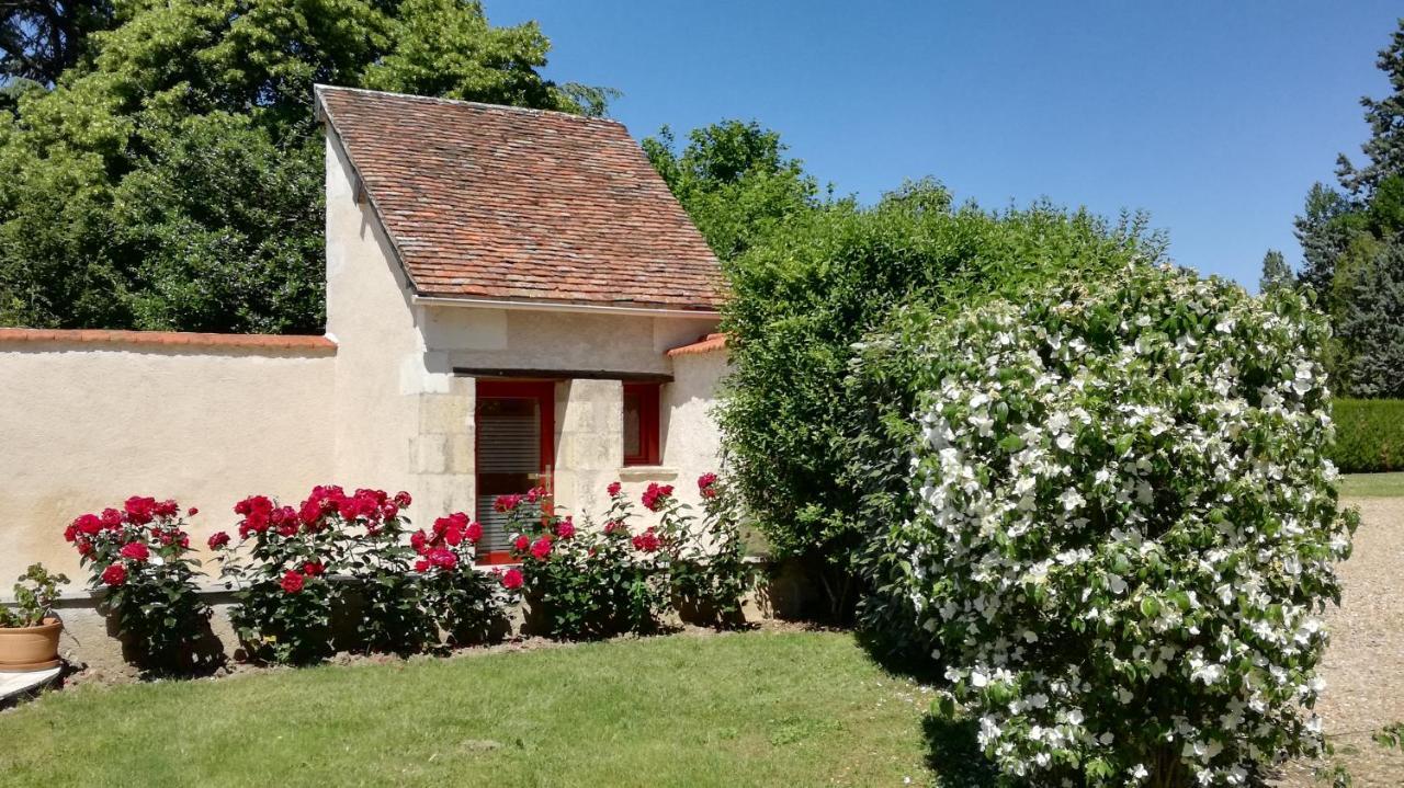 La Haute Traversiere Francueil Exteriér fotografie