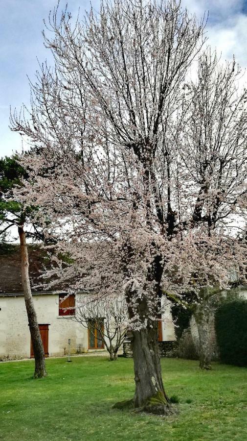 La Haute Traversiere Francueil Exteriér fotografie